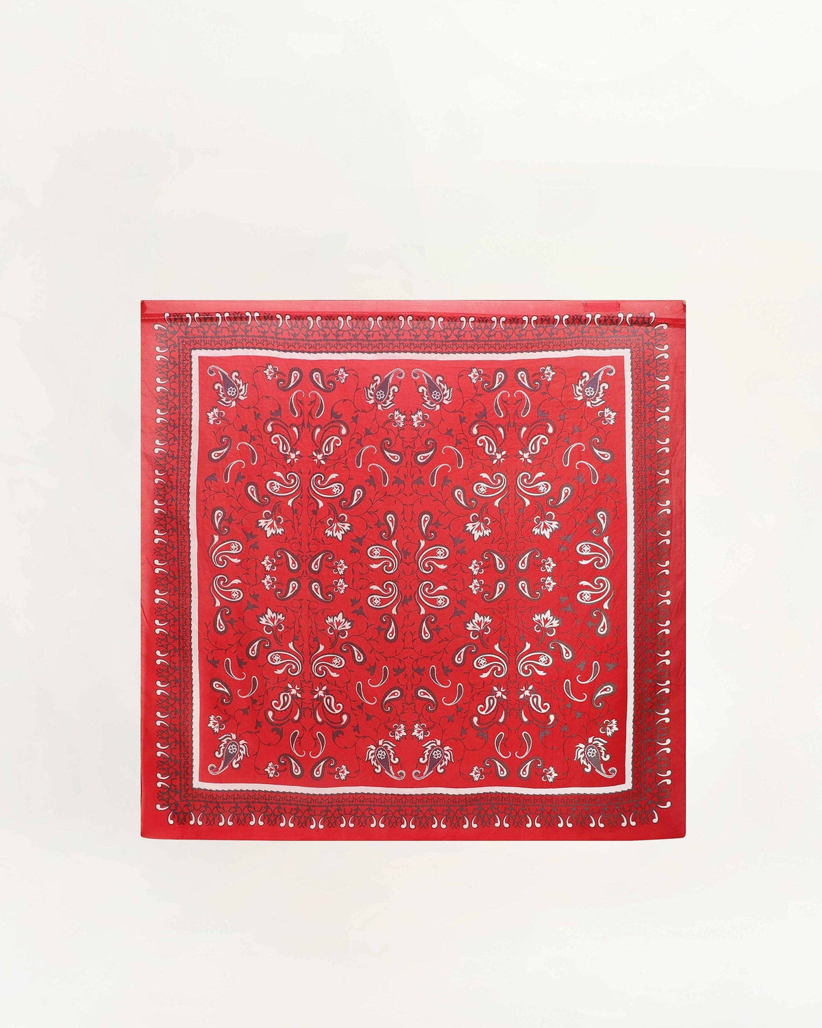 Loyal West - Bandana Canyon Silk Scarves